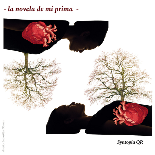 La novela de mi prima