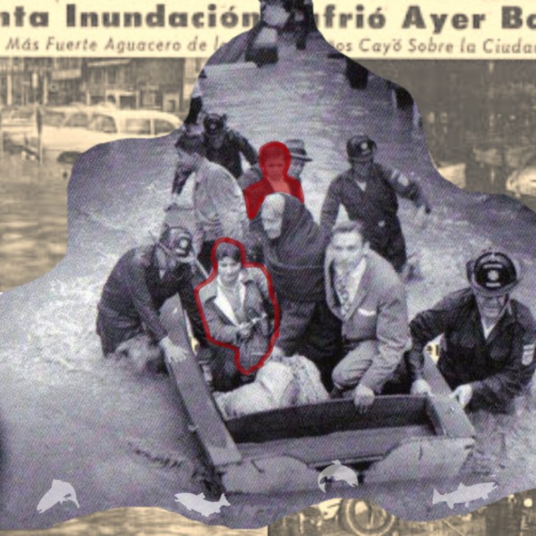 Las Truchas - Gráficas